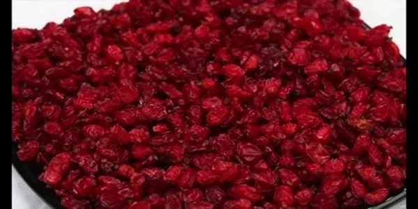 تصویر 1 از خرید و فروش زرشک پفکی مشهد با شرایط فوق العاده